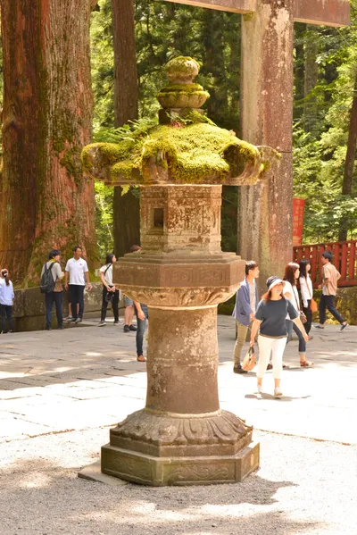 DSC_3844 (Large).JPG